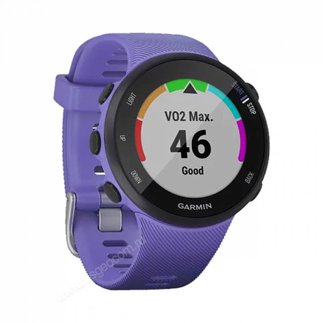 Часы Garmin Forerunner 45S ирис Часы Garmin Forerunner 45S ирис