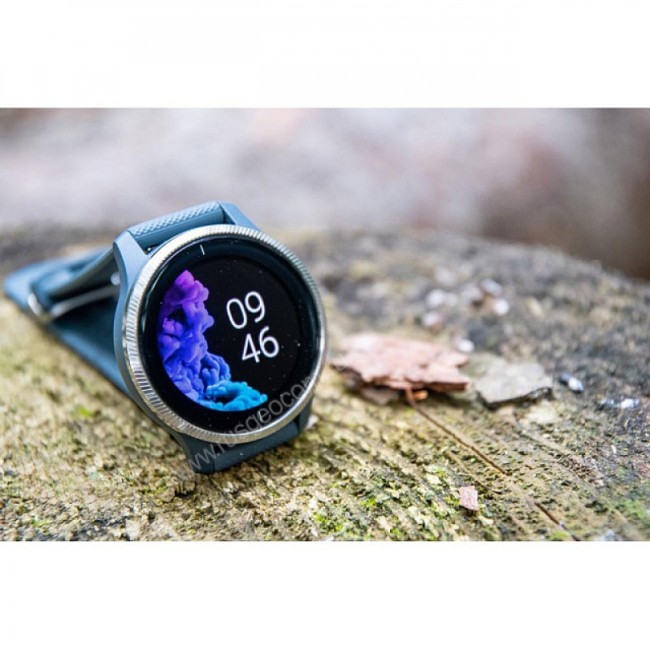 Часы Garmin Venu синий гранит с серебристым безелем